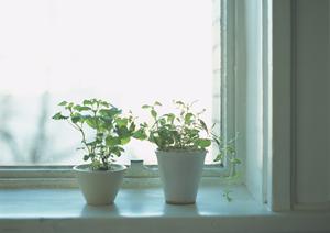 迅速なシーリングファン設置をします