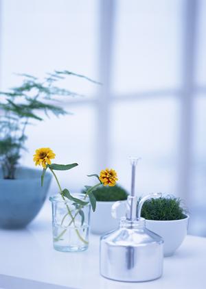 玄関ドアの交換を検討しているなら